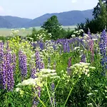 Eko Bajka - Caloroczne Domki W Gorach Holiday home Lubawka
