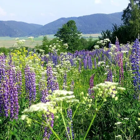Eko Bajka - Caloroczne W Gorach Prázdninový dům Lubawka