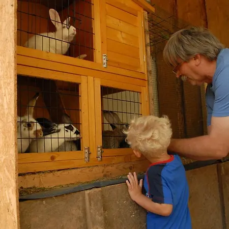 Eko Bajka - Caloroczne W Gorach