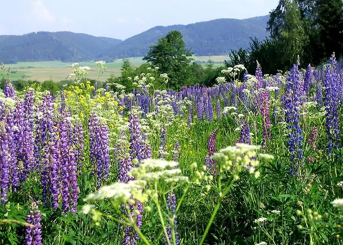 Eko Bajka - Caloroczne W Gorach Nyaraló Lubawka
