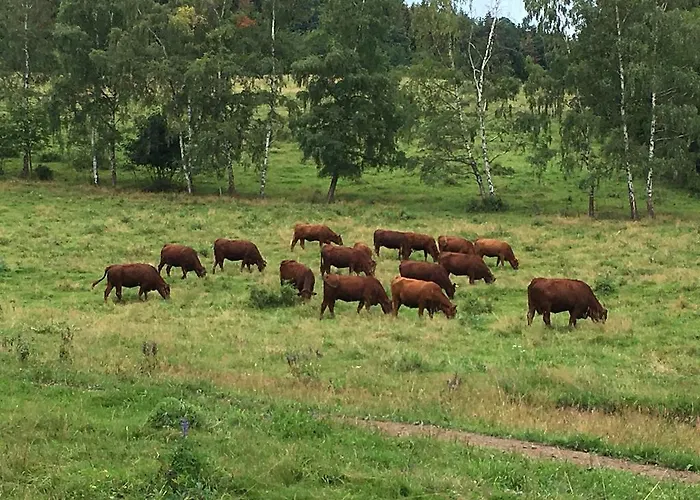 Nyaraló Eko Bajka - Caloroczne W Gorach Lubawka