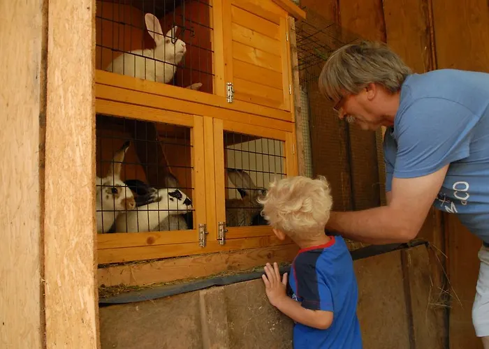 Eko Bajka - Caloroczne Domki W Gorach