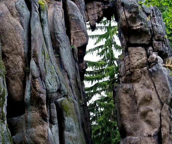 Eko Bajka - Caloroczne Domki W Gorach Holiday home *