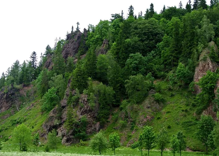 Eko Bajka - Caloroczne Domki W Gorach Holiday home *